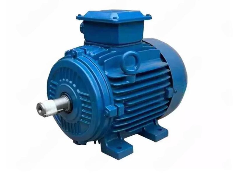 Электродвигатель W22 100L 8P 0,75кВт IE1